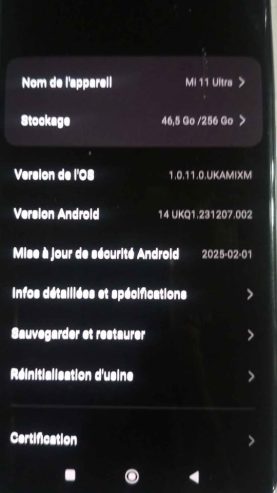 Stockage-256-Go-et-8-Go-de-RAM-extensibles-du-Xiaomi-Mi-11-Ultra