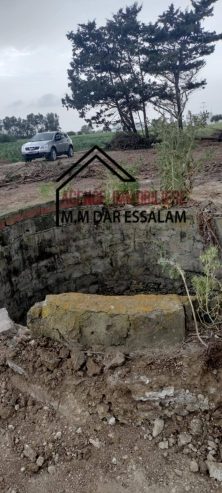 ardh-abd-laghni10-1