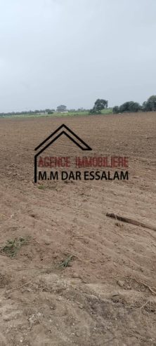 titre agricole à vendre