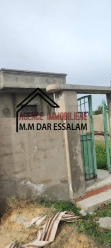 dar-kerkouane15