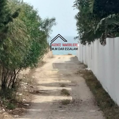 dar-kerkouane16