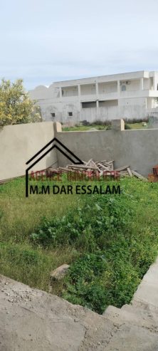 dar-kerkouane9