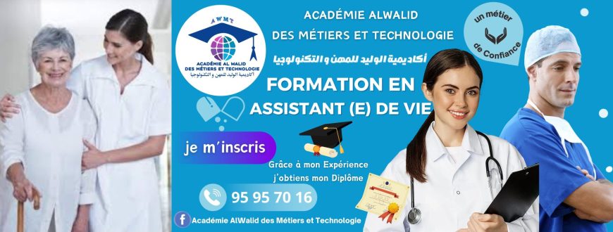 Formation en Assistant (e) de Vie