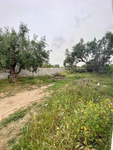 Terrain de 250 m² à Vendre