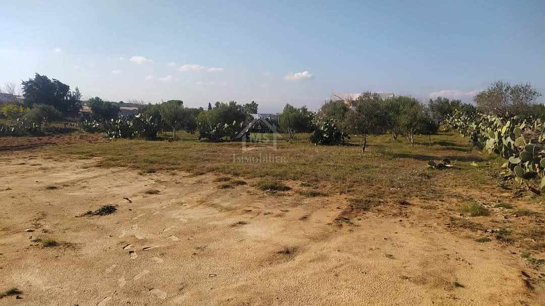Lot de terrain de 500 m² à vendre