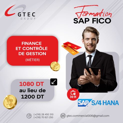 Formation SAP Fico S/4HANA