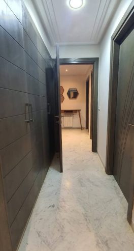 appartement-lumineux-jardins-de-carthage