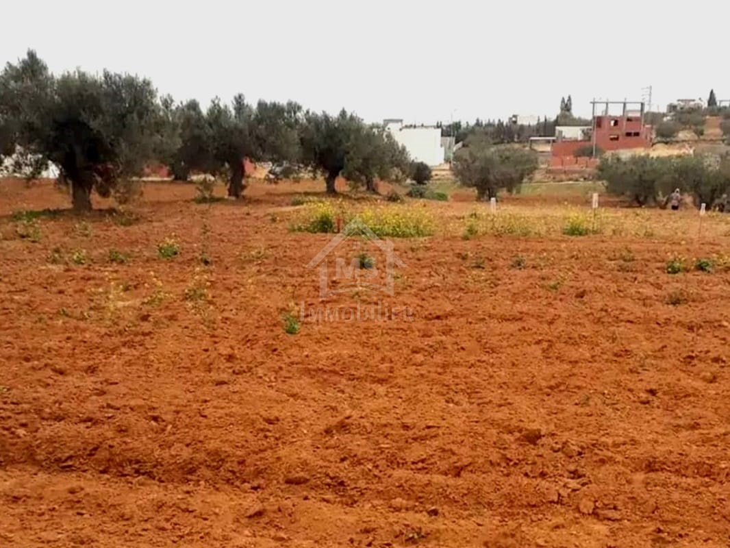 À vendre : Terrain de 2900 m² à Hammamet Sud