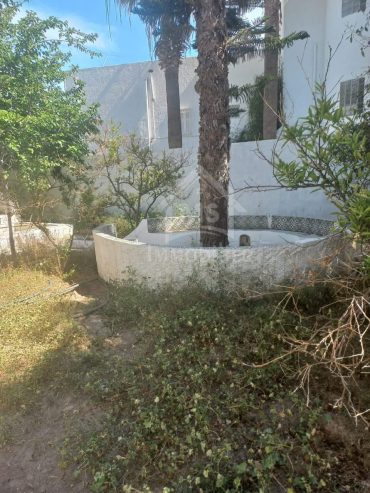 villa avec jardin à vendre