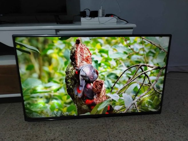 television-43-pouces-lg-occasion-prix-330dt