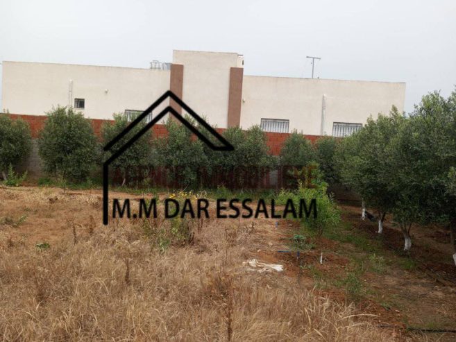 terrain-college4
