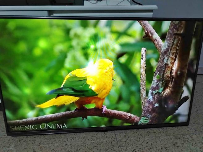 tv-lg-led-43-pouces-a-vendre-rades-tunisie