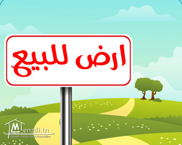 قطعة أرض للبيع صفاقس