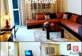 Appartement S+1 meublé à louer