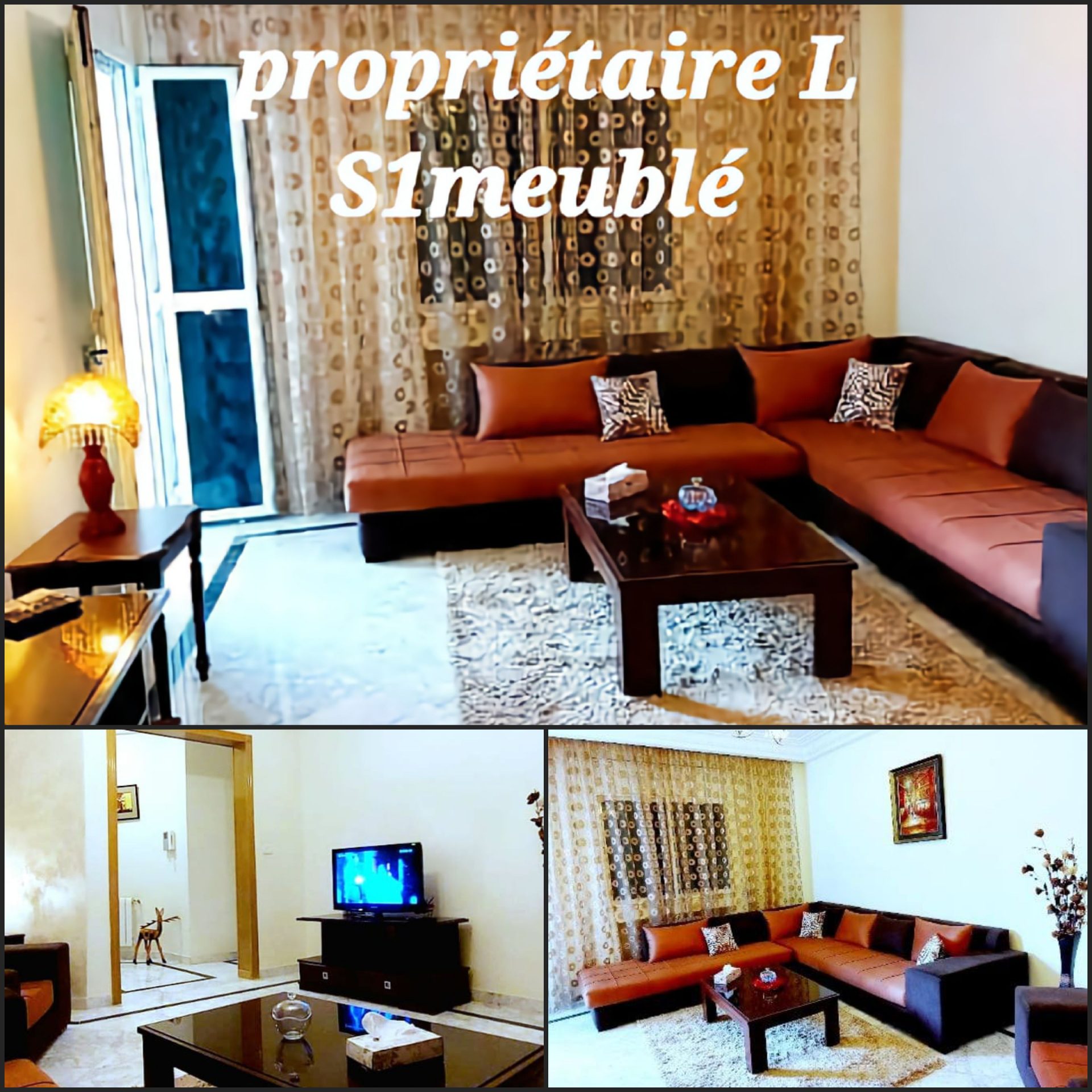 Appartement S+1 meublé à louer