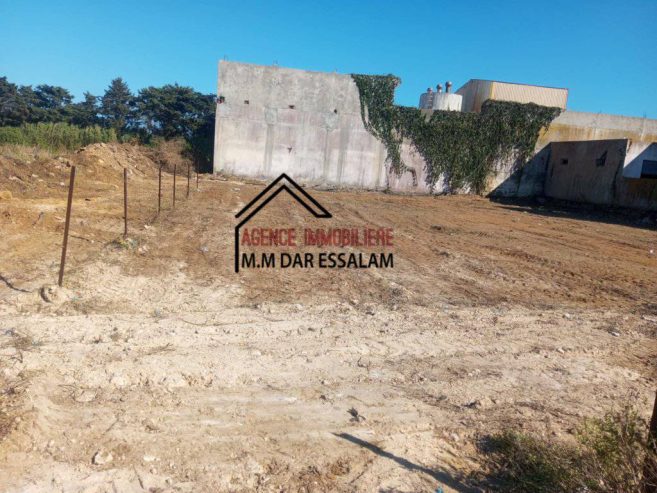ardh-montazah1