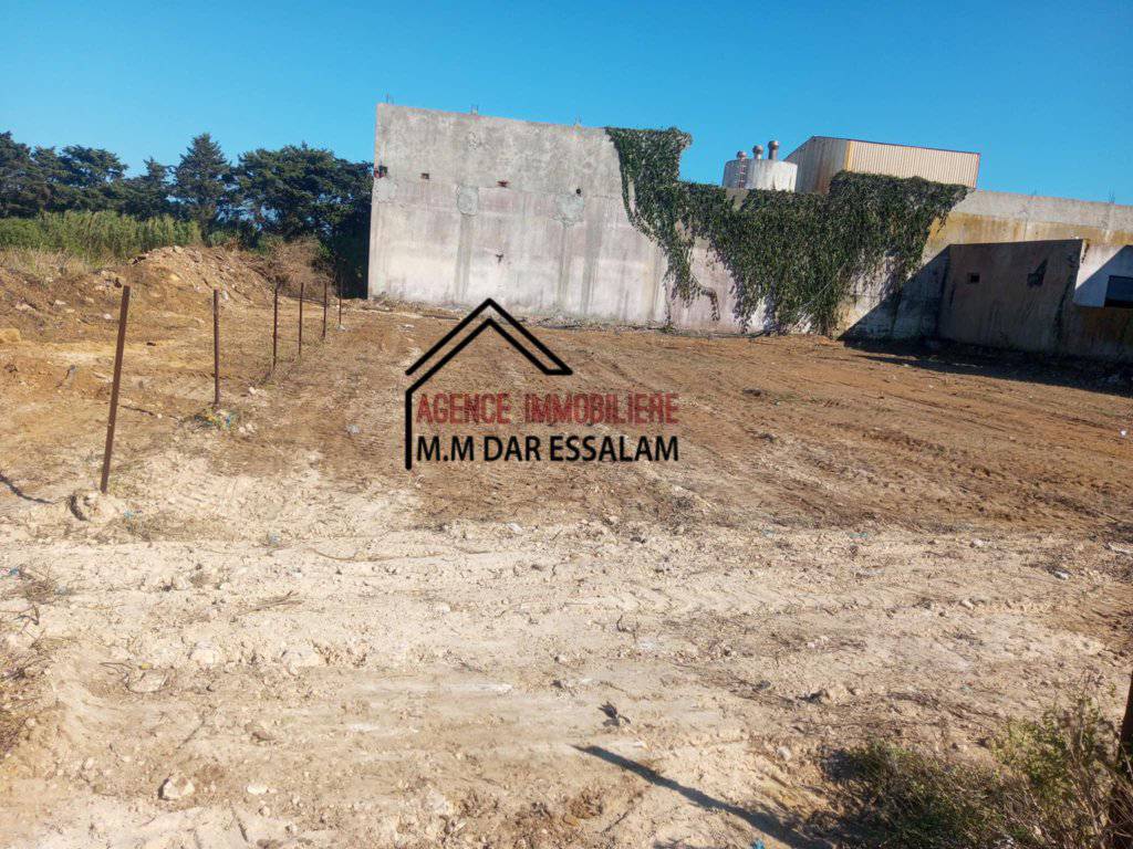 ardh-montazah1