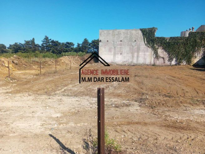 ardh-montazah3