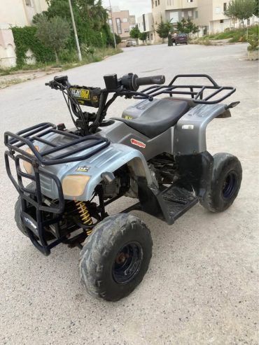 quad-loisir-110cc-excellent-etat