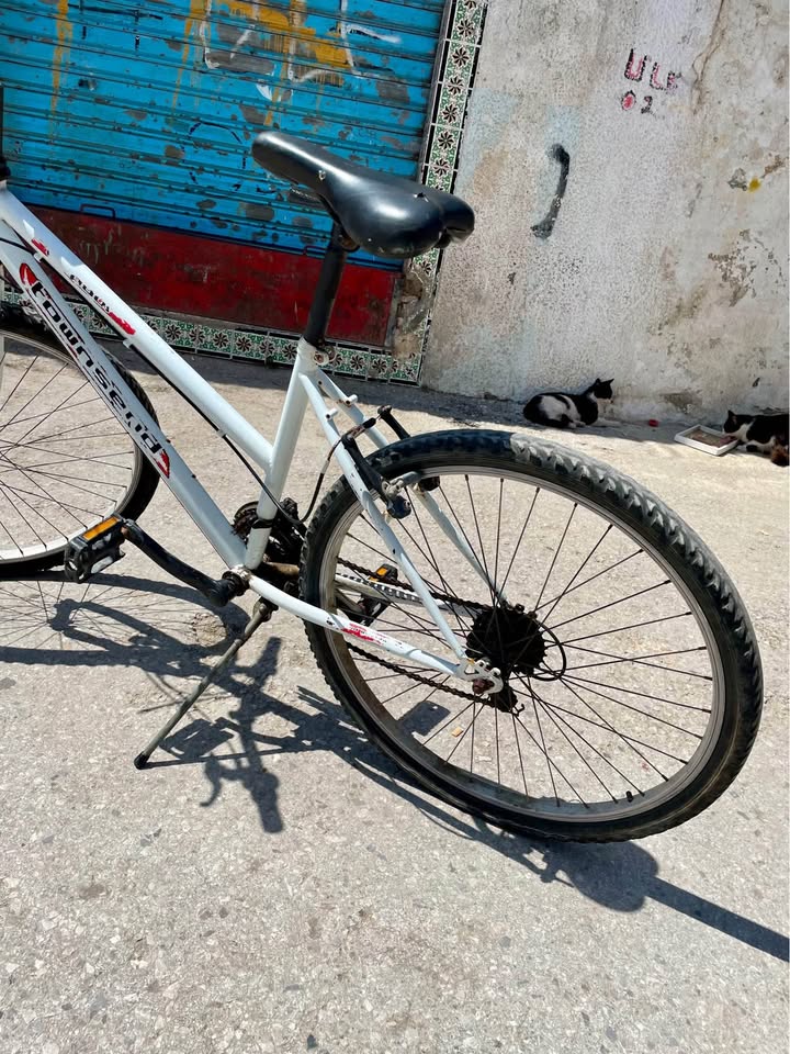 velo-robuste-confortable-a-vendre-bardo-tunisie