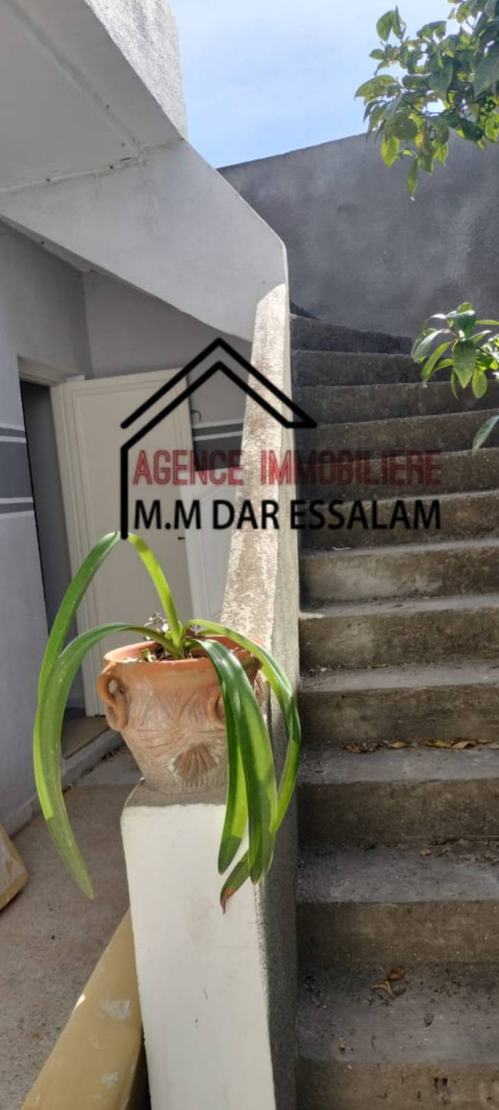 villa-hamem-laghzez14