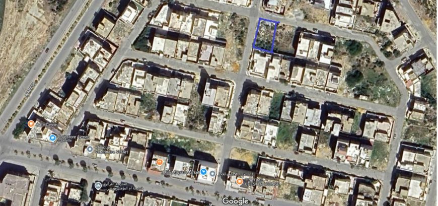 Photo-1