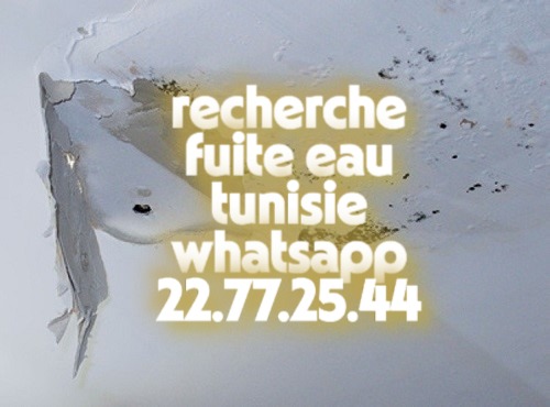 Recherche-de-fuite-suite-a-infiltration-au-plafondjjh