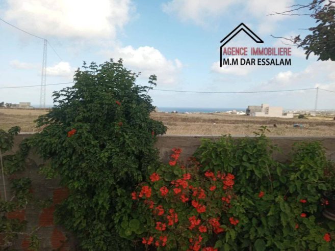 dar-laaroussi9