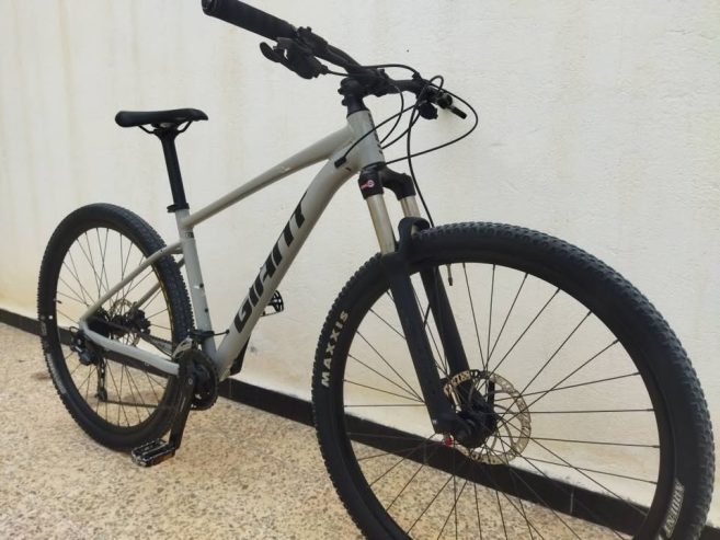 giant-vtt-29-montagne-occasion