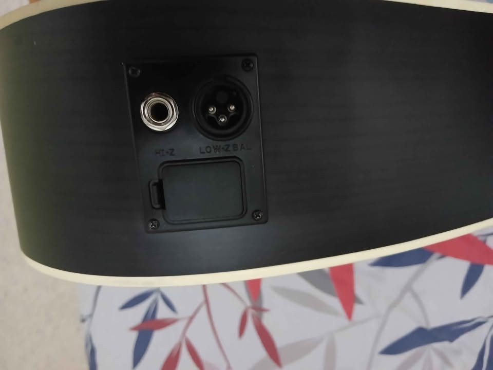 guitare-electroacoustique-dreadnought-tanit
