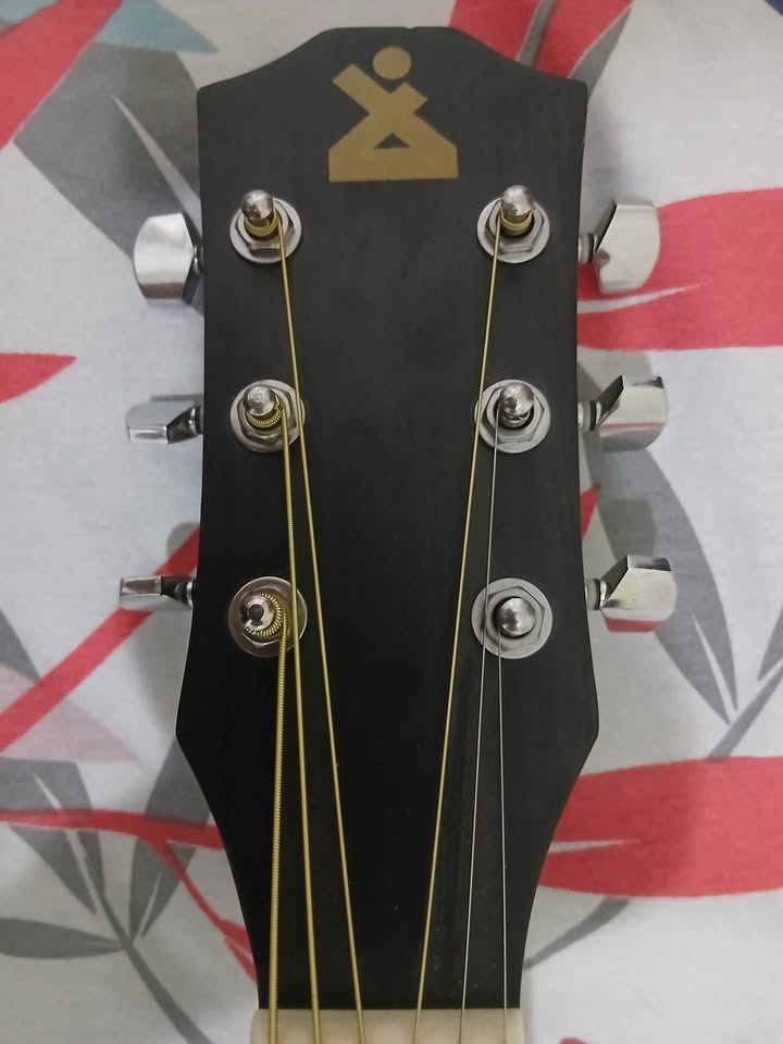 guitare-electroacoustique-tanit-tete-logo