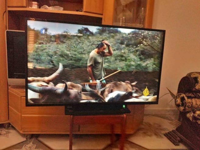 tv-led-toshiba-42-importee-presque-neuve-korba