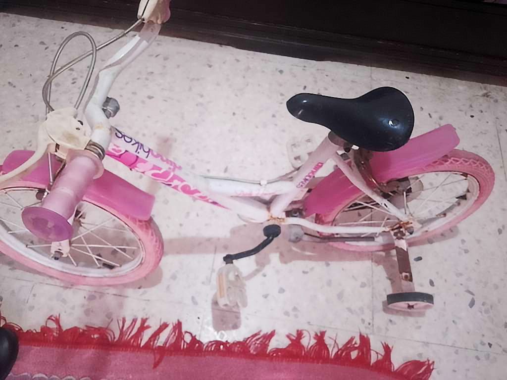 velo-enfant-petite-fille-hammam-chatt