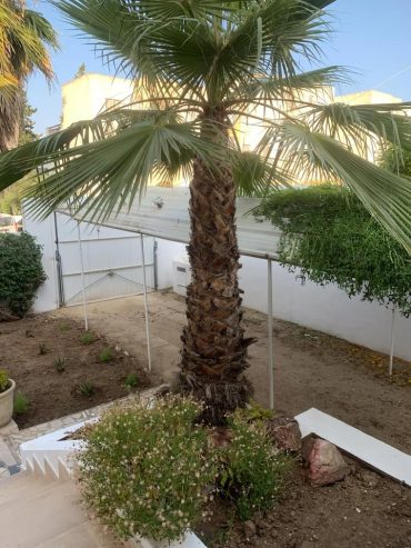villa-menzah9a-avec-suite-parentale