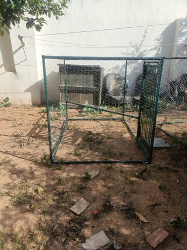 CAGE2