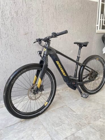 bergamont-velo-electrique-performance-line-cx-moteur