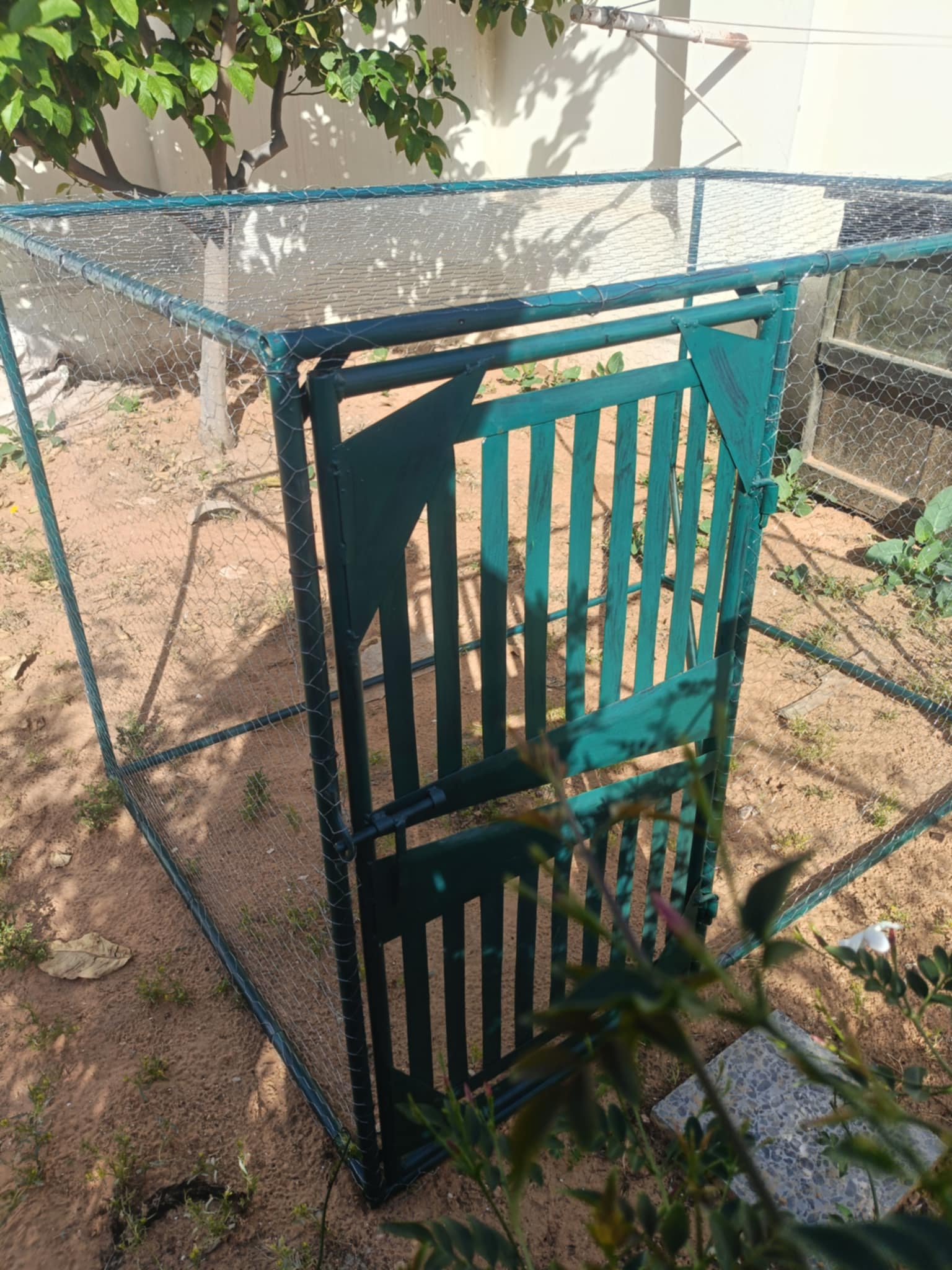 cage1