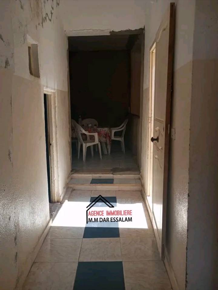 dar-anis3