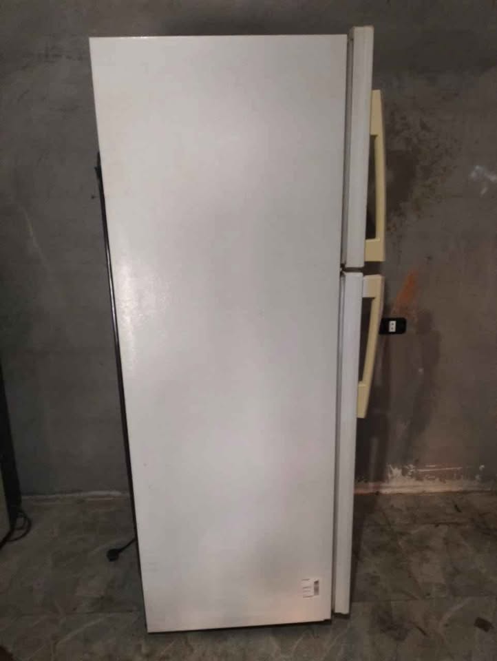 frigo-no-frost-economie-energie-zaghouan
