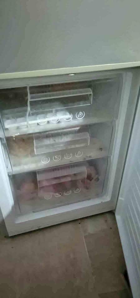 refrigerateur-biolux-occasion-tunisie-prix-550dt