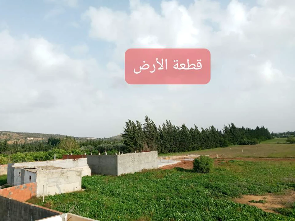 resize-image-2