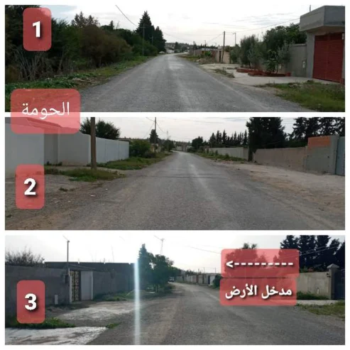 resize-image-7