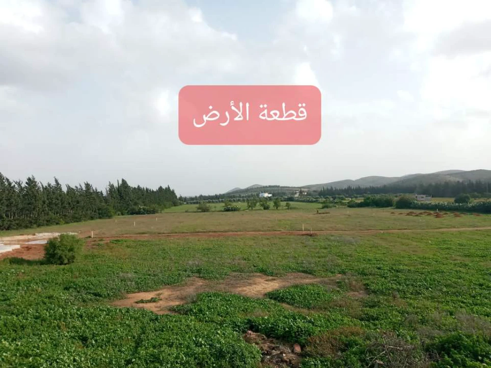resize-image