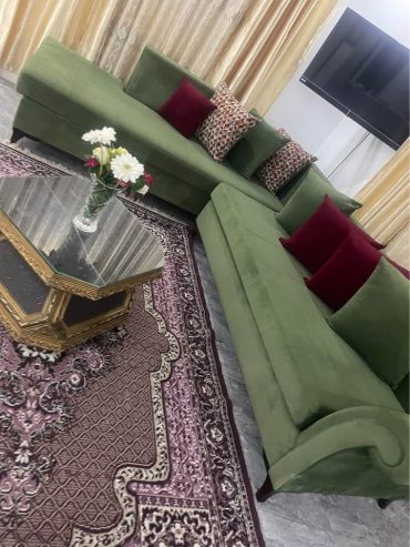 salon-famille-velours-vert-tunis