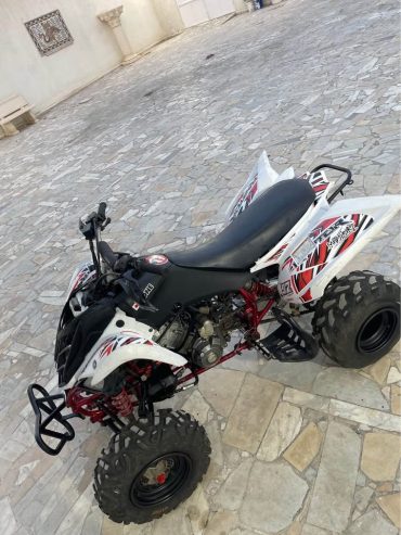 yamaha-raptor-660-cross-performance