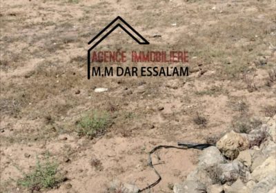 Terrain  Nabeul – proxity.tn