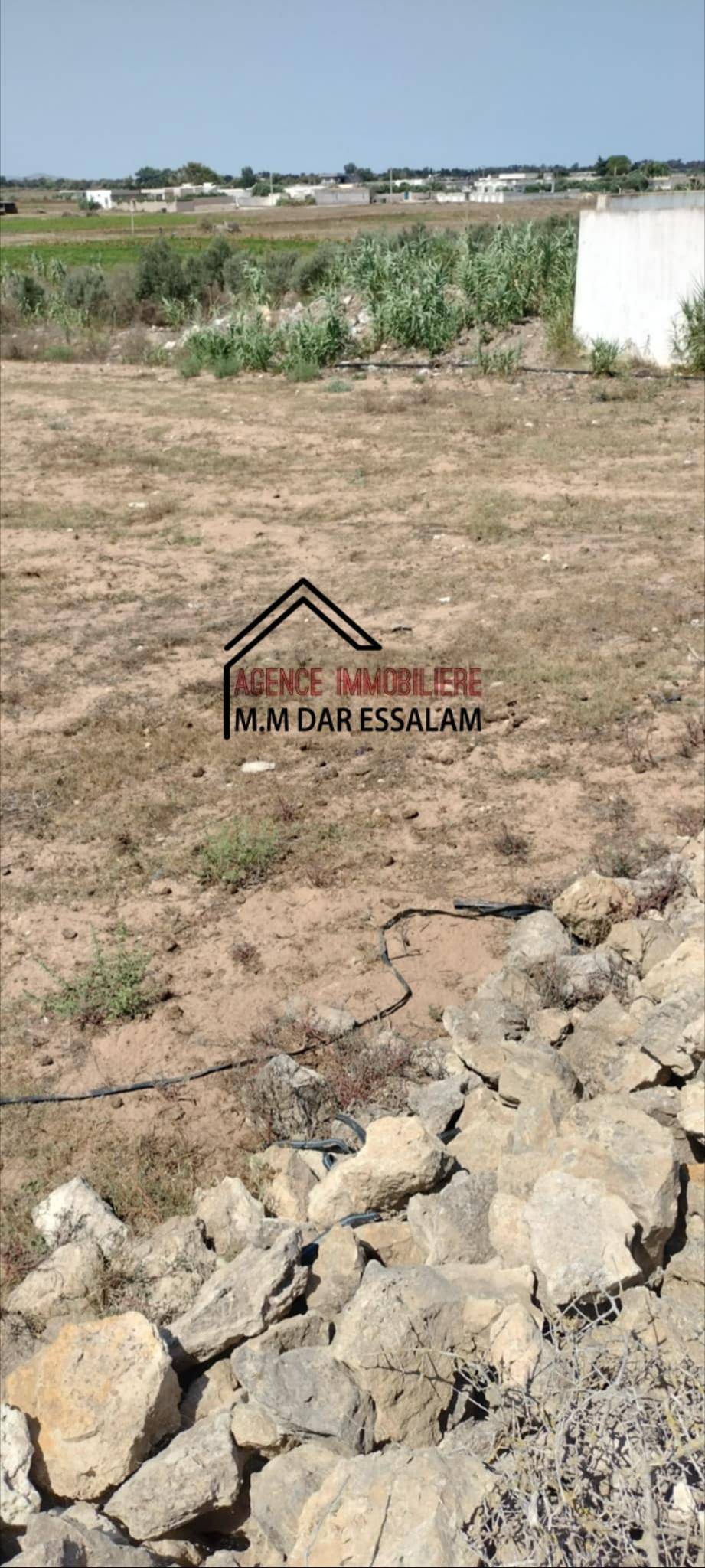 hichem-kormad2