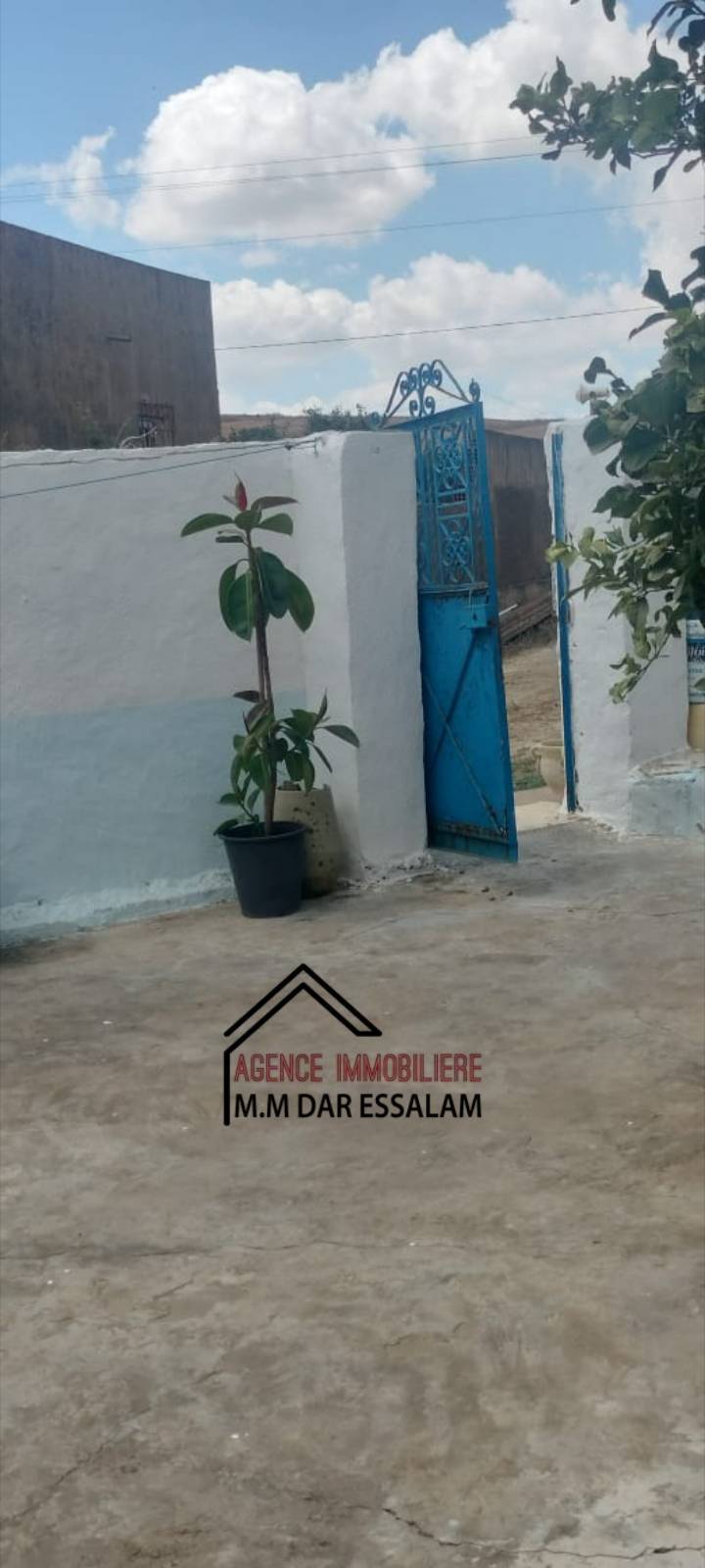 raouf15