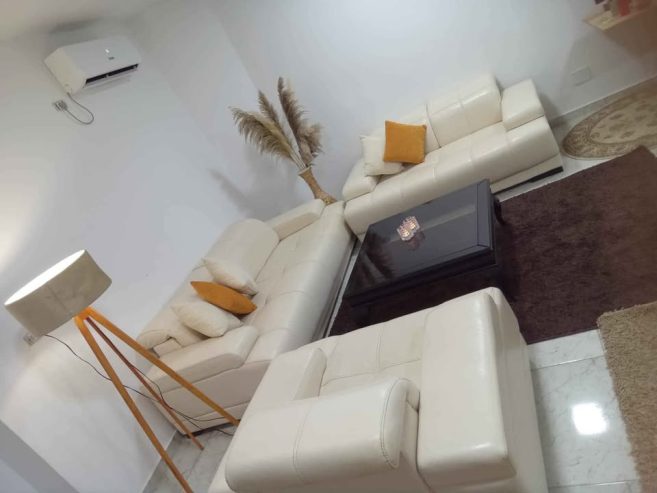 salon-moderne-avec-tapis-et-table-basse