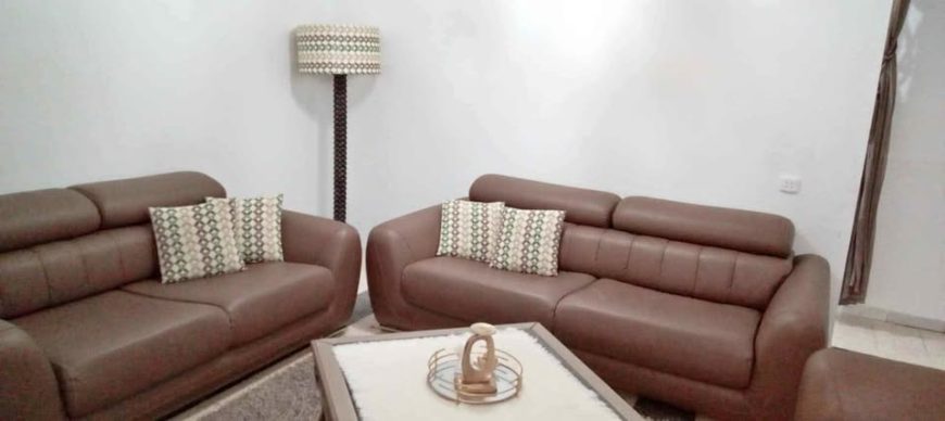 salon-moderne-cuir-brun-ariana